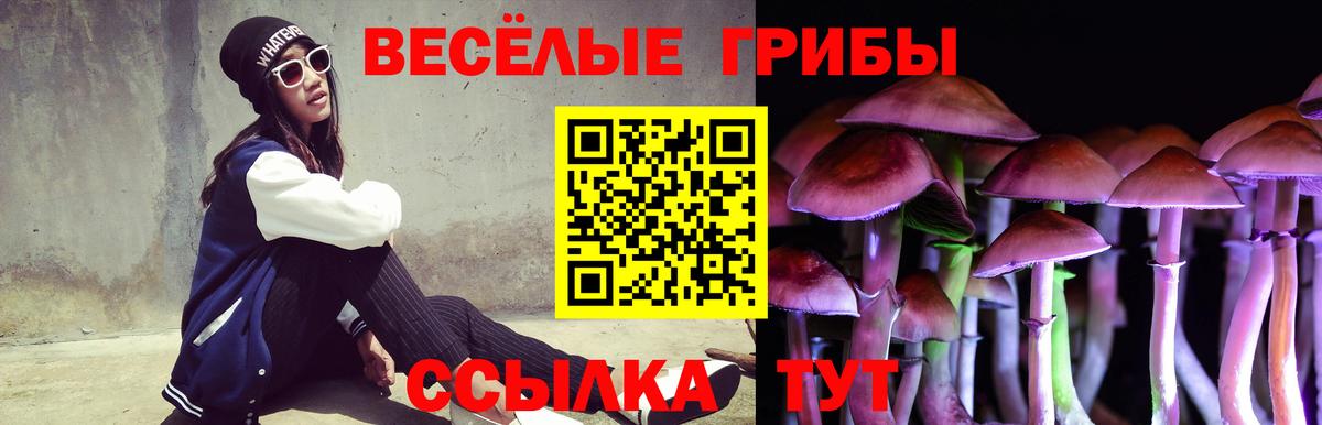 Псилоцибиновые грибы ЛСД  Вход с VPN  Ливны 